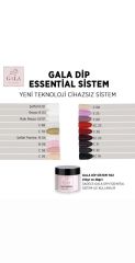 GALA DİP SİSTEM TOZ 10 GR C60
